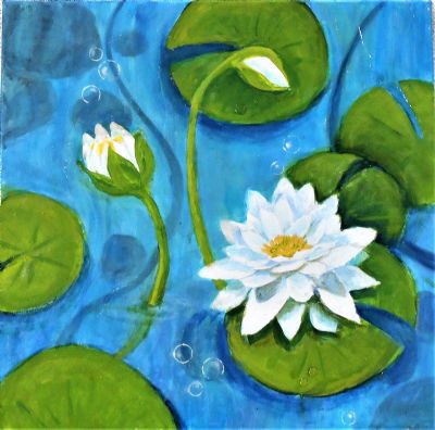 Lily Pond 1