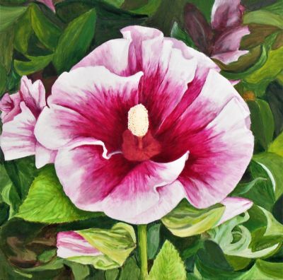 Blazing Hibiscus