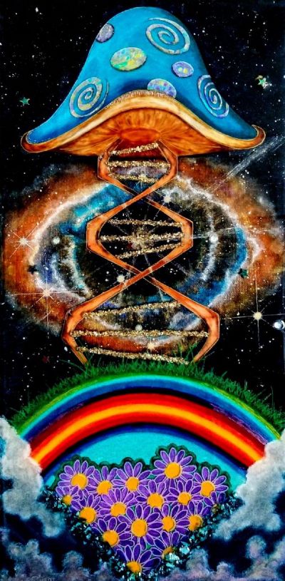 Paths of Enlightenment