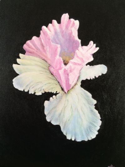 The Flowering Orchid 