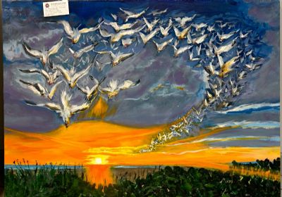 Seagulls at Sunset