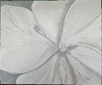 White Hibiscus