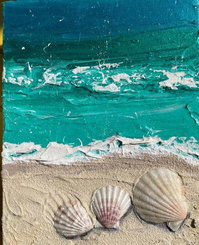Beach Shells 