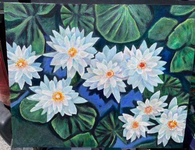 Water Lily Explosion