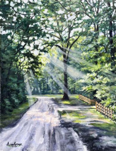 A Light Unto My Path