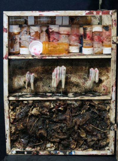 Pharmakon - Cabinet Detail