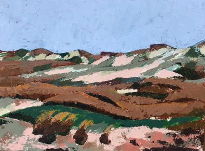 Dunes of The Provincelands 