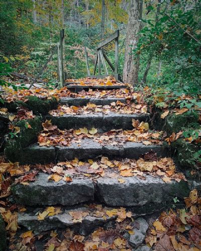 Autumn Stairs