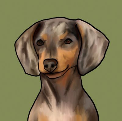 Duchshund