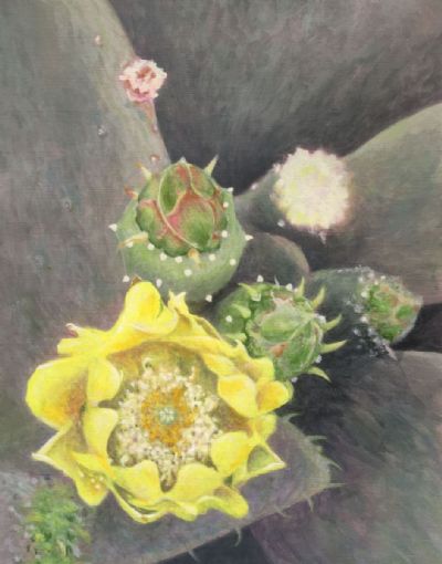 Cactus Bloom