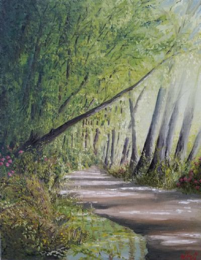 Mountain Road in Morning