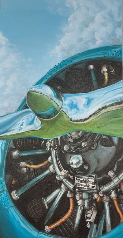 Airplane with Jacobs Radial 7