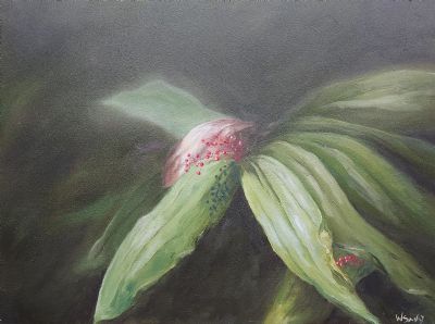 Flowering plan in forest