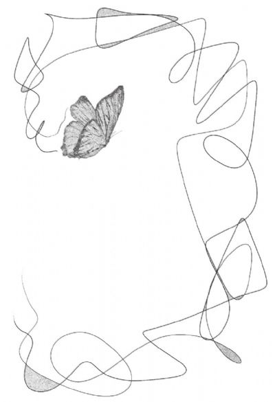 Fly - 7,000 Triangles