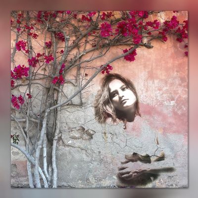  Flower Of Forgetfulness  