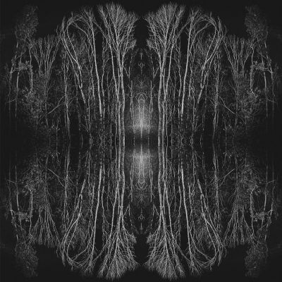 Death, Reflection, Resurrection 