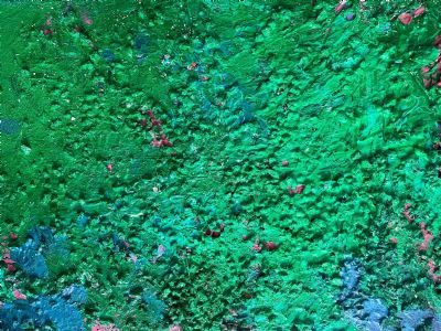 Find Your Inner Peace