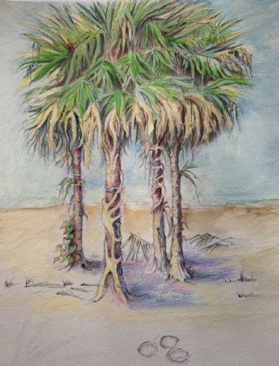 Palms with roots