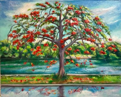 Untitledtree after rain