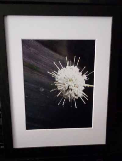 What is This, Sputnik?