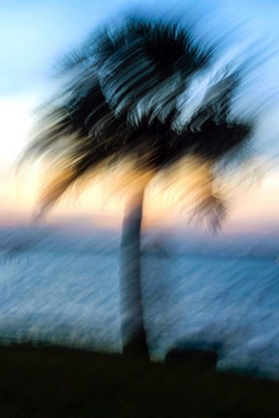 Untitled2