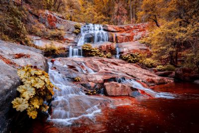 Autumn Falls