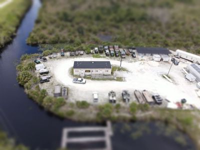 Everglades in miniature 