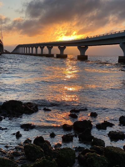 Sunrise under the bridge