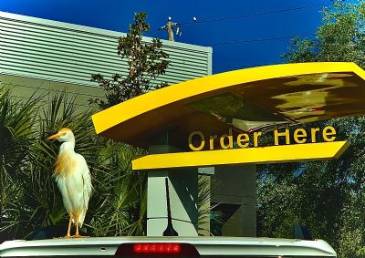 Can I take your order? 