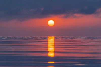 Tampa Bay Sunrise 1.5