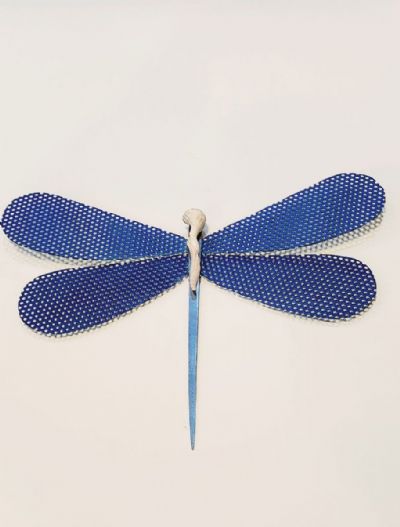 Blue on Blue Metalfly
