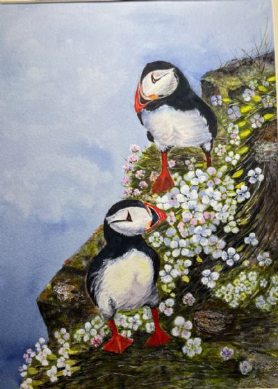Puffins 
