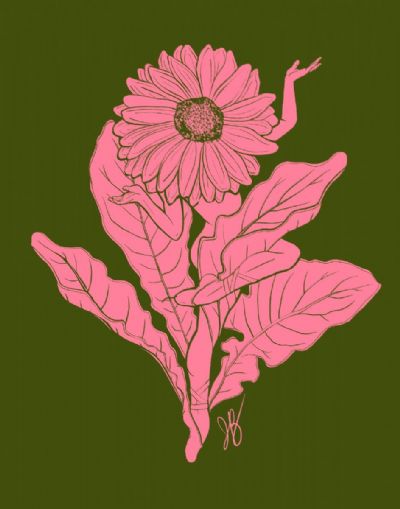 Gerbera Daisy Ballerina Botanical Lady