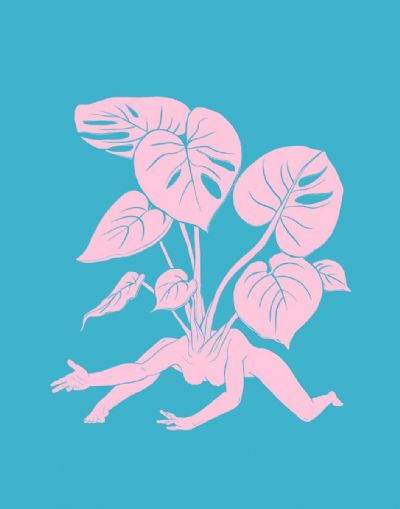 Monstera Botanical Lady