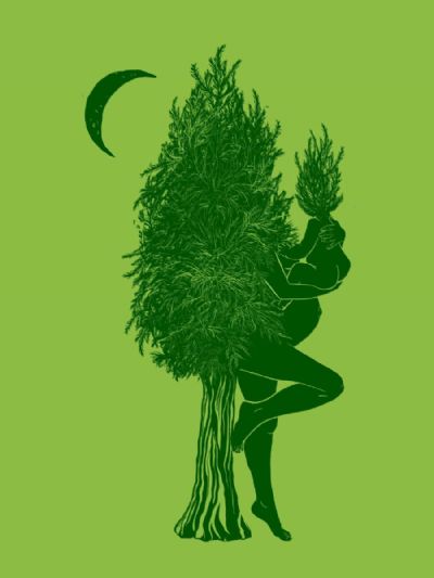 Redwood Mother Tree and Baby Sprout Botanical Lady