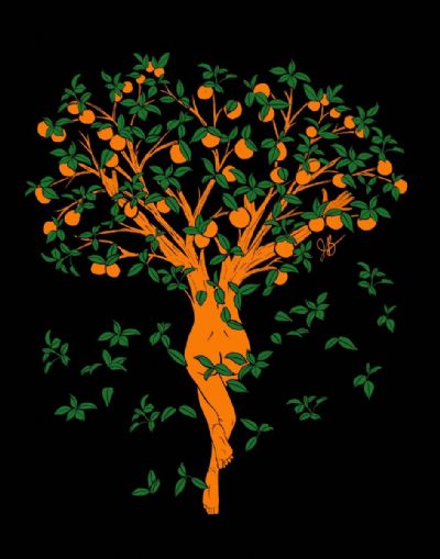 Orange Tree Botanical Lady