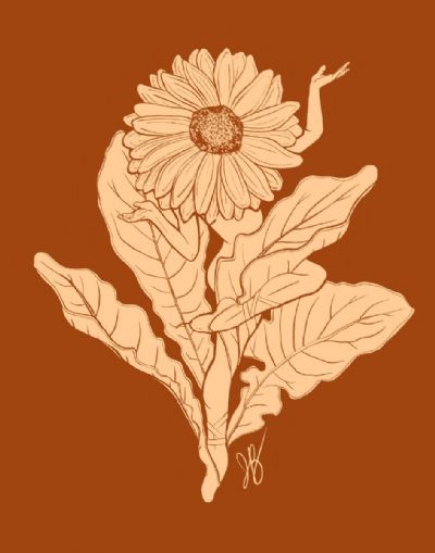 April Birth Flower Daisy