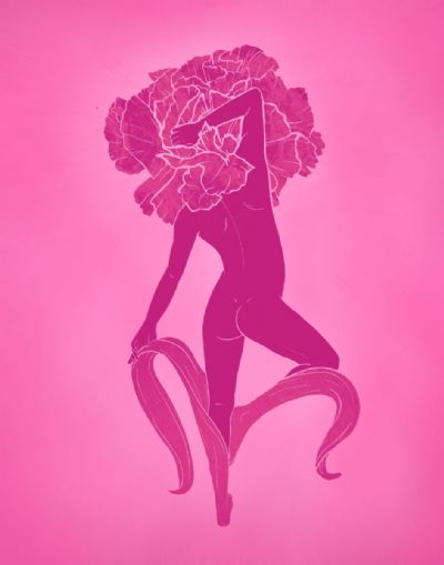 January Birth Flower Carnation