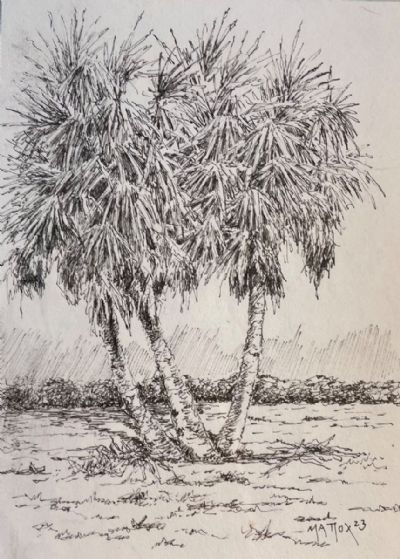 Palms of Three