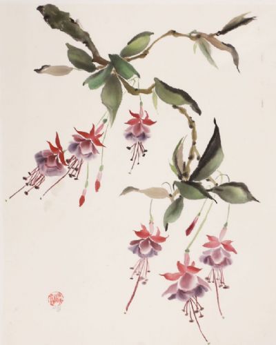 Fuchsia Surround-SOLD