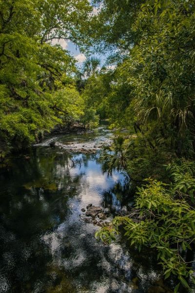 Hillsborough River 1