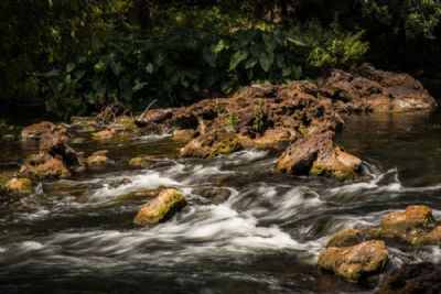 Hillsborough River 2