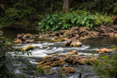 Hillsborough River 3
