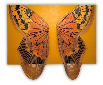 Enchanting Metamorphosis