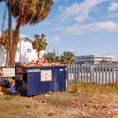 Discarded Beauty I (Triptych)