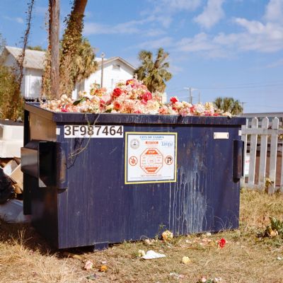 Discarded Beauty II (Triptych)