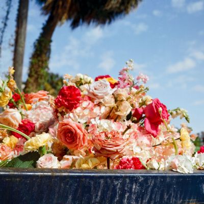 Discarded Beauty III (Triptych)