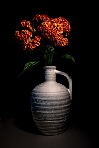 A Bloom Brings A Moment Of Peace