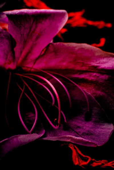 Something is going to Happen...Something Wonderful