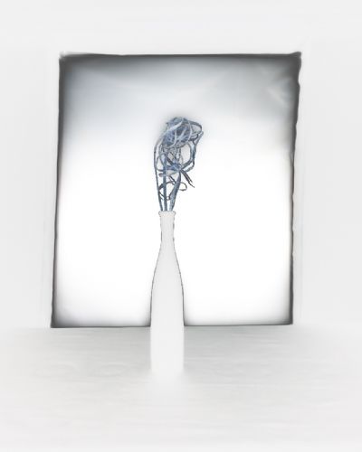 Light as a concept #1